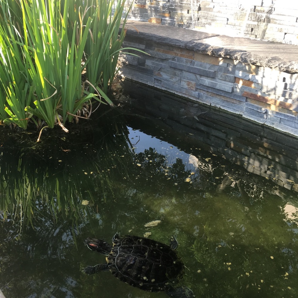 Meet your Posher, Johana